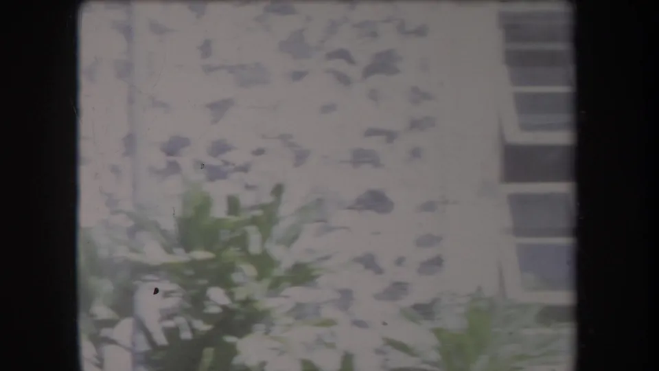 1969 Hawaii home-movie frame showing a weathered cement apartment wall, small window, and leafy plants in bright sunlight.