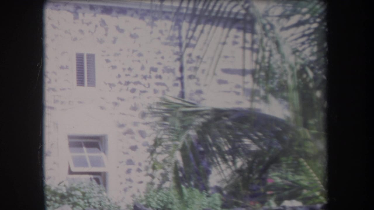 Stone building wall with shuttered windows and palm fronds in front.