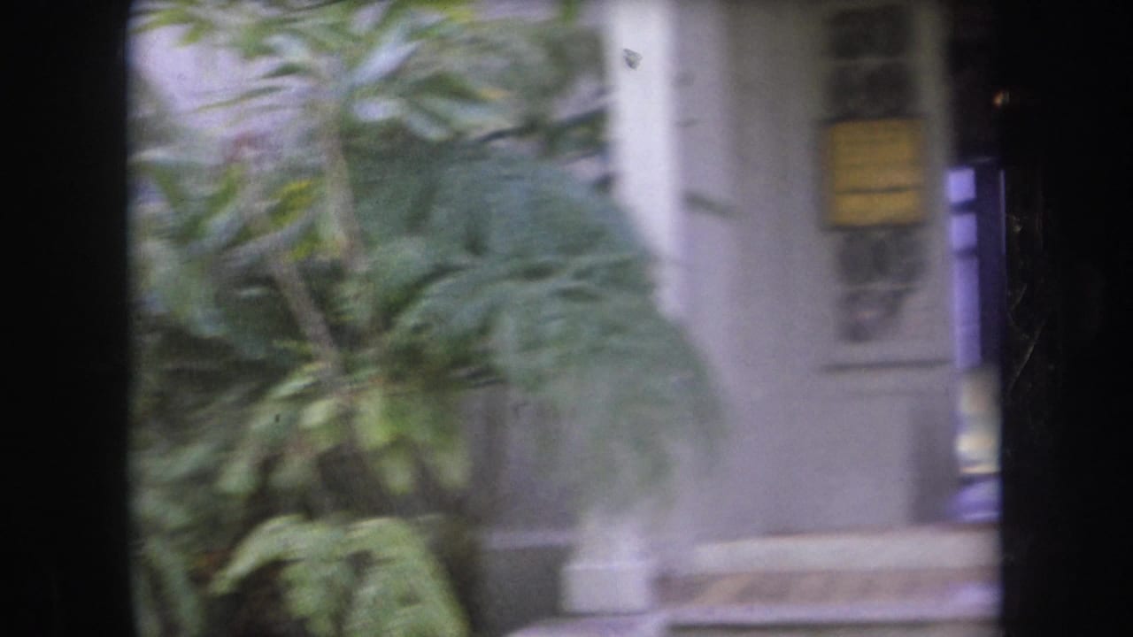 Shrubs and palm fronds partly obscure a stucco building entrance.