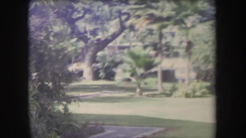 1969 Hawaii 8mm frame showing lawn, tropical trees, palms, and a low stucco structure beyond the garden.