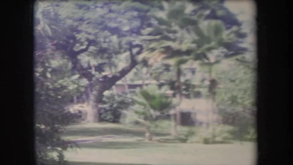 1969 Hawaii 8mm frame of a sunny landscaped garden with palms, lawn, broad trees, and stucco exterior architecture.