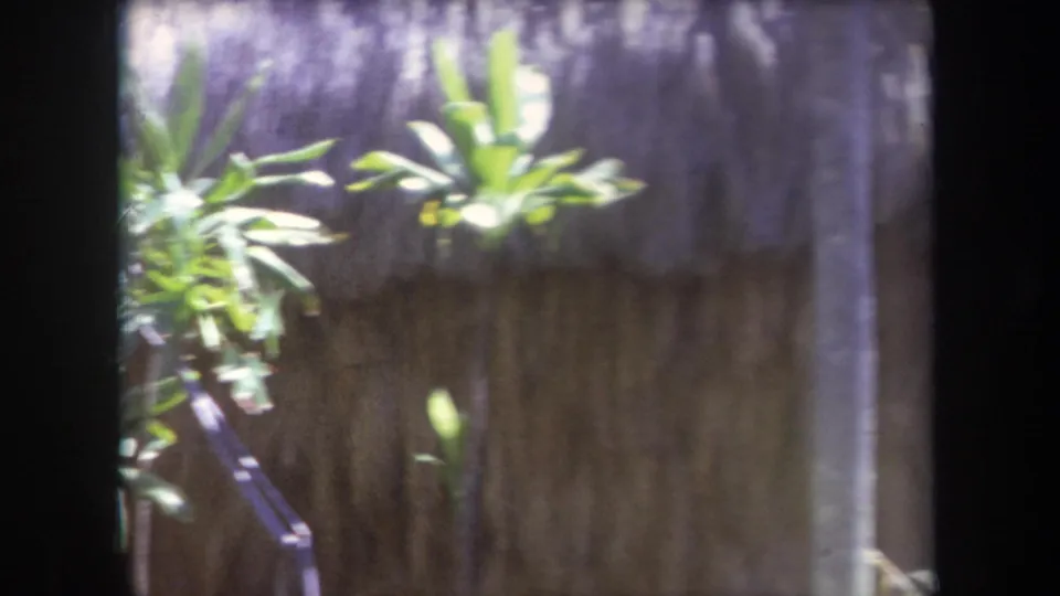 1969 Hawaii travel frame with a rustic thatched structure partly obscured by tropical greenery and soft film blur.