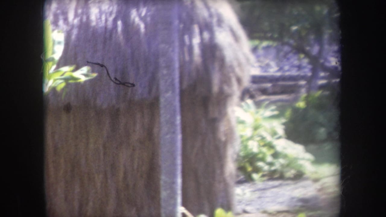 1969 Hawaii 8mm frame showing a thatched hut edge, plants, and a shaded garden path in soft focus.