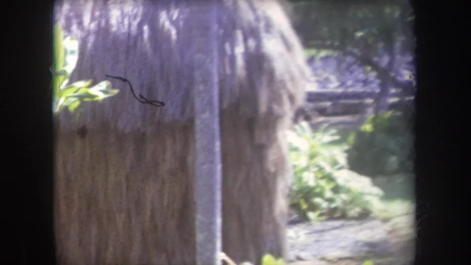 1969 Hawaii 8mm frame showing a thatched hut edge, plants, and a shaded garden path in soft focus.