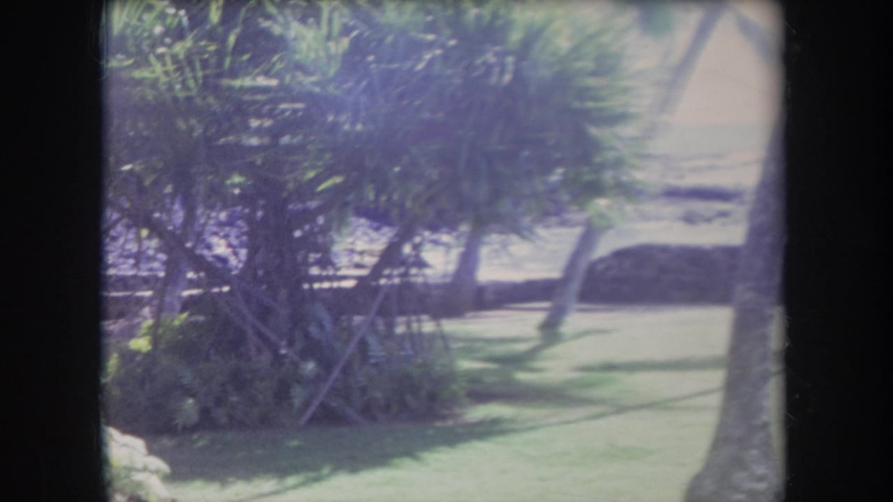 Palm-lined lawn and beach beyond dark vertical film borders.