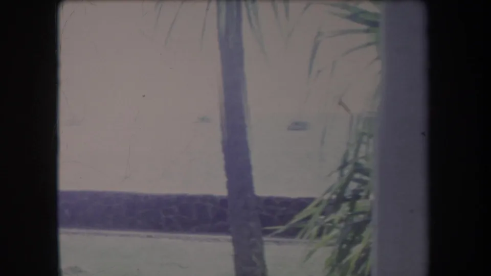 1969 Hawaii 8mm frame with palm fronds, pale coastal water, distant shore, and dark structural framing in the foreground.