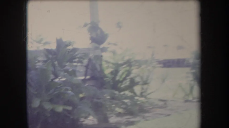 1969 Hawaii 8mm frame showing garden foliage near a light house exterior, with exposure haze and handheld blur.