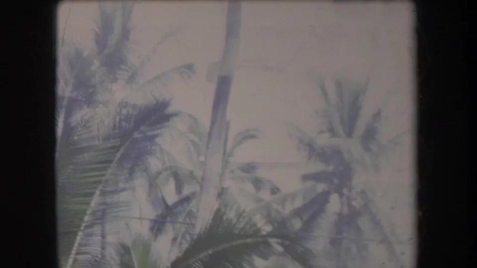 1969 Hawaii home-movie frame with palm fronds and tropical foliage against a pale residential exterior.