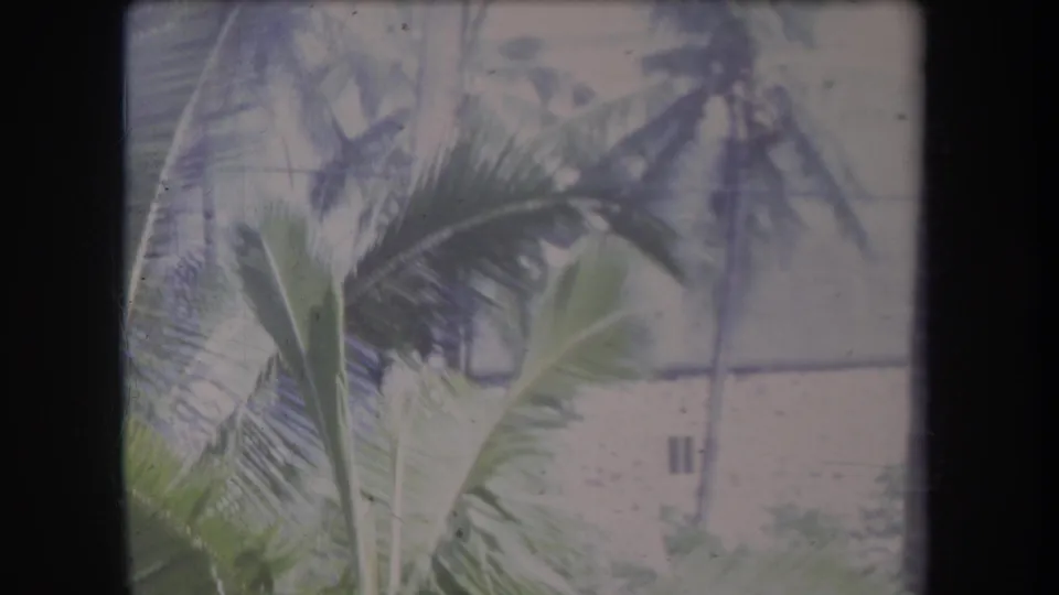 1969 Hawaii 8mm frame with broad palm leaves and a pale masonry building partly seen through foliage.