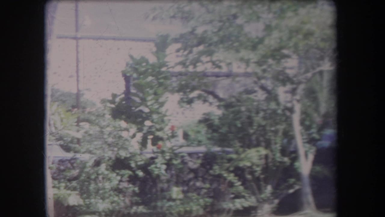 Tropical shrubs and trees partially obscure a pale building behind them.