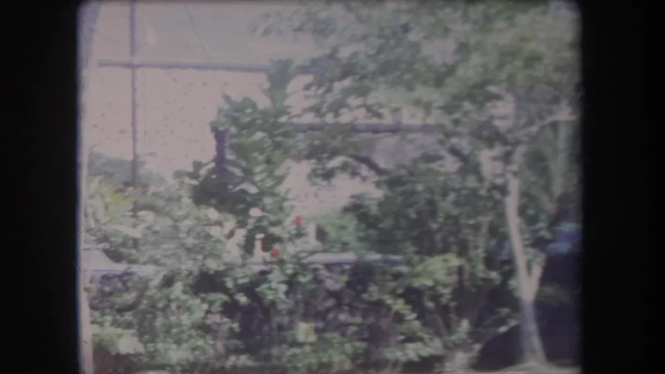 1969 Hawaii home-movie frame with dense greenery, palms, and a pale building partly hidden behind the landscaping.