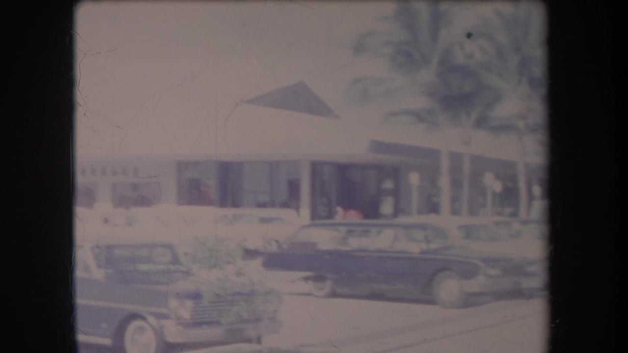 Classic cars parked outside a low building with a palm tree nearby.