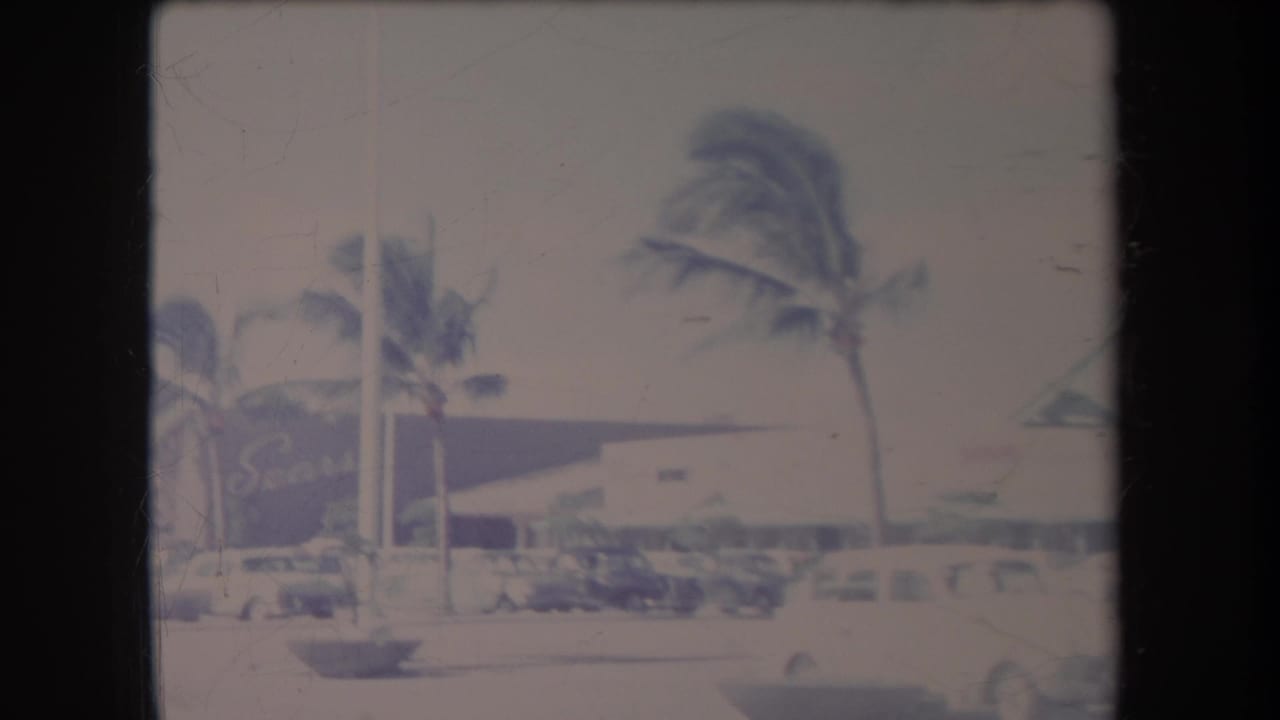 Commercial street with palm trees, cars, and a Sears sign.