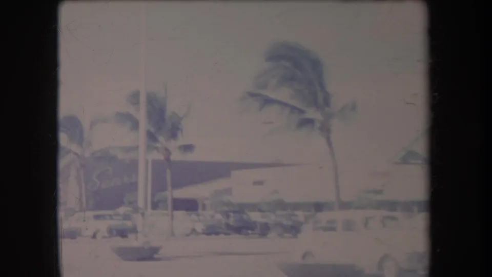 1969 Hawaii street view with palm trees, parked cars, and a visible Sears sign on a commercial building.