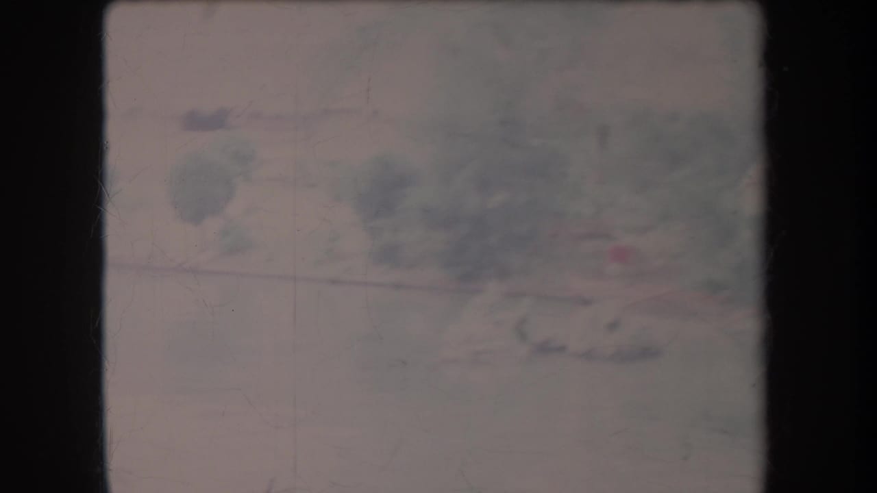 Soft, overexposed foliage and outdoor ground seen through an 8mm film frame.