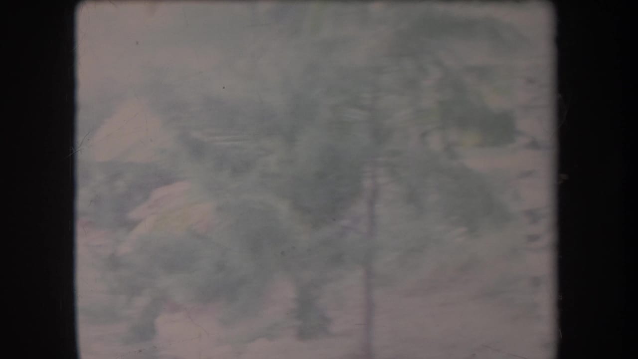 Soft 1969 Hawaii home-movie view of trees and foliage, heavily faded and partially obscured by film-frame borders.