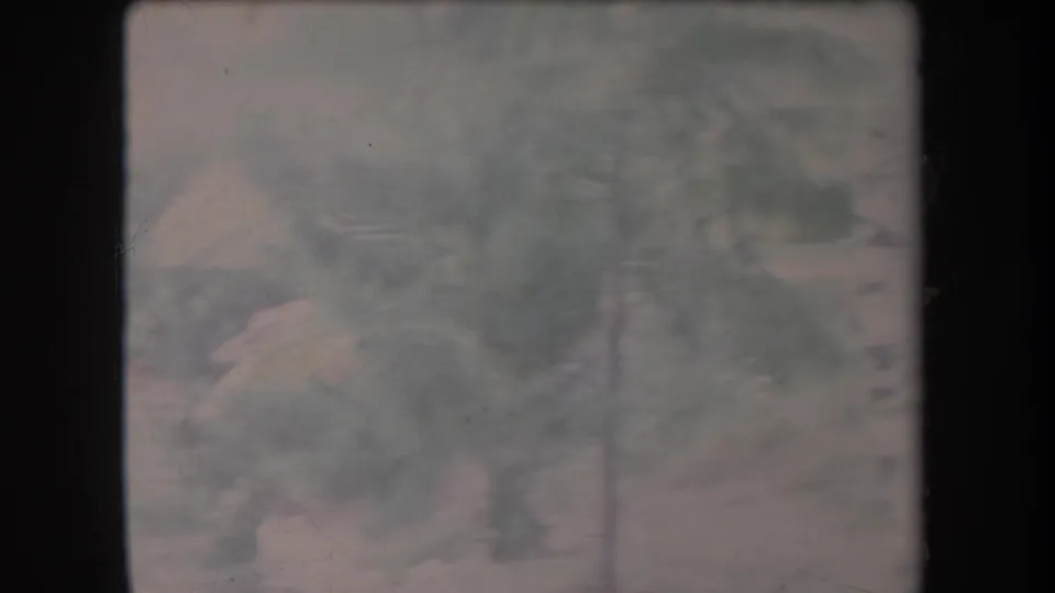 Soft 1969 Hawaii home-movie view of trees and foliage, heavily faded and partially obscured by film-frame borders.