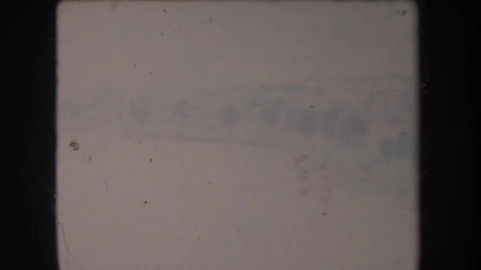 Late-1960s Hawaii home-movie frame with a distant boat on washed-out water, dark trees, and heavy 8mm aging marks.