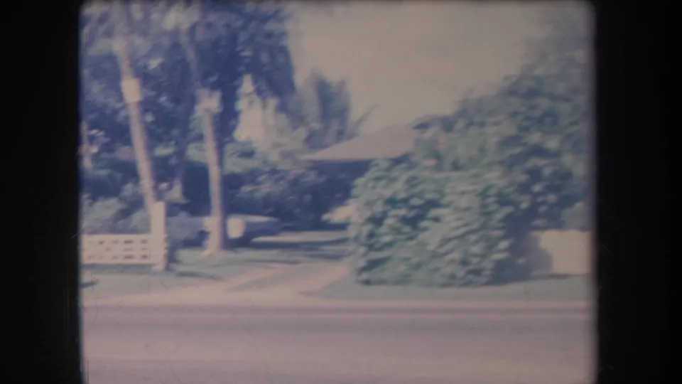A 1969 Hawaii home-movie frame looks across a quiet road toward palms, shrubs, and a low white fence or bench-like structure.