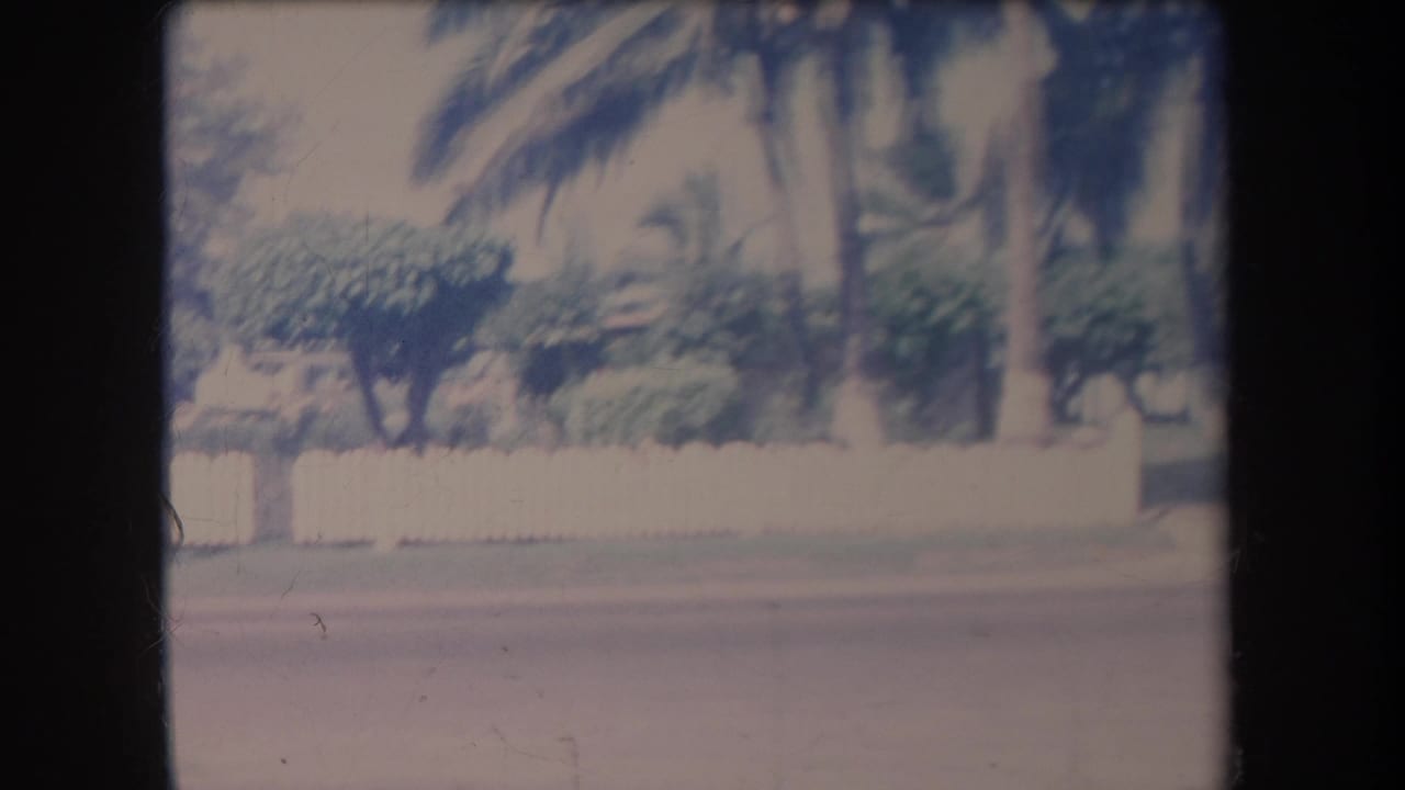1969 Hawaii 8mm frame showing a quiet roadside, low white fence, palm trunks, and dense tropical planting.