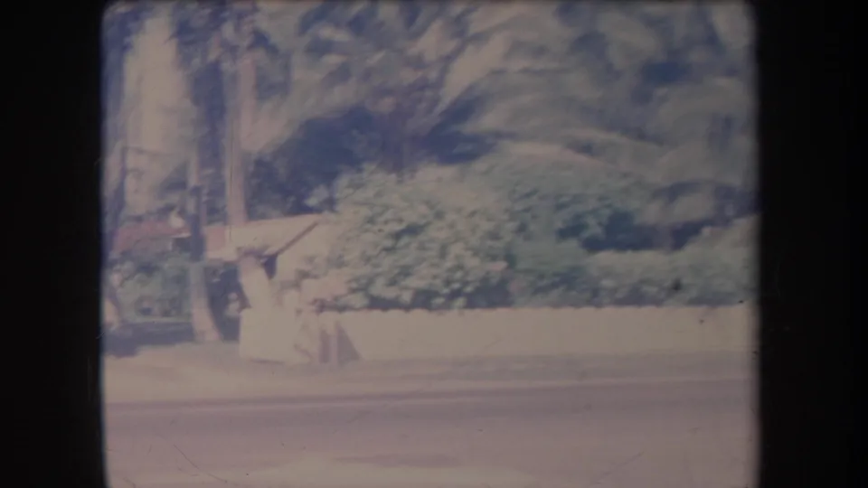 1969 Hawaii roadside frame with a pale fence, garden wall, palm trees, and layered tropical greenery.