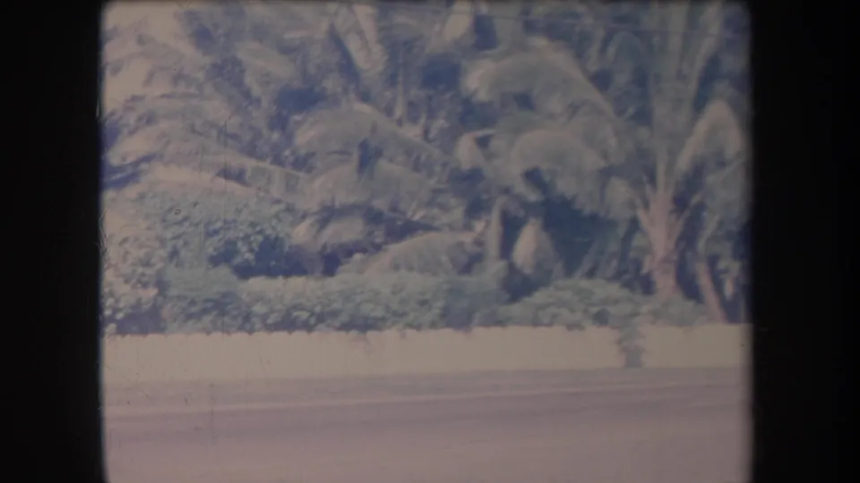 1969 Hawaii 8mm frame showing palms, banana-like leaves, shrubs, and a low white fence along a quiet street.