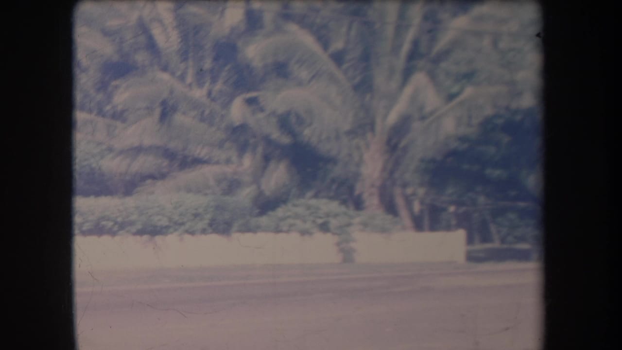 1969 Hawaii 8mm frame showing a quiet paved road bordered by palm trees, dense greenery, and a low white wall.