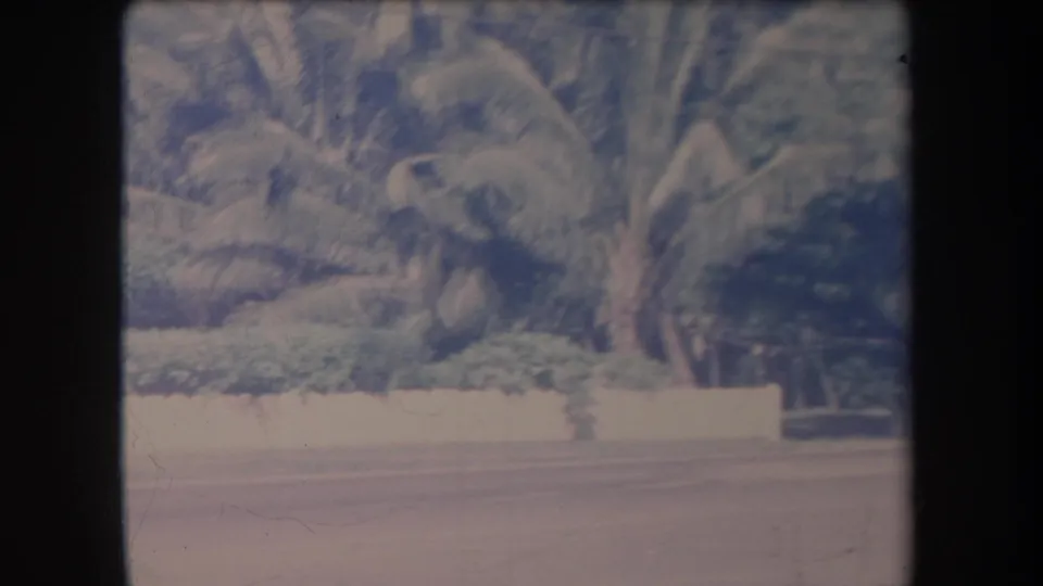 1969 Hawaii 8mm frame showing a quiet paved road bordered by palm trees, dense greenery, and a low white wall.