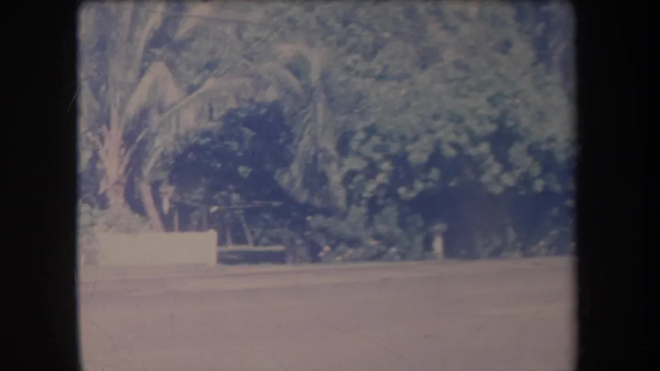 1969 Hawaii home-movie frame with a quiet road, palm trunks, lush plantings, and a low white wall in soft faded color.