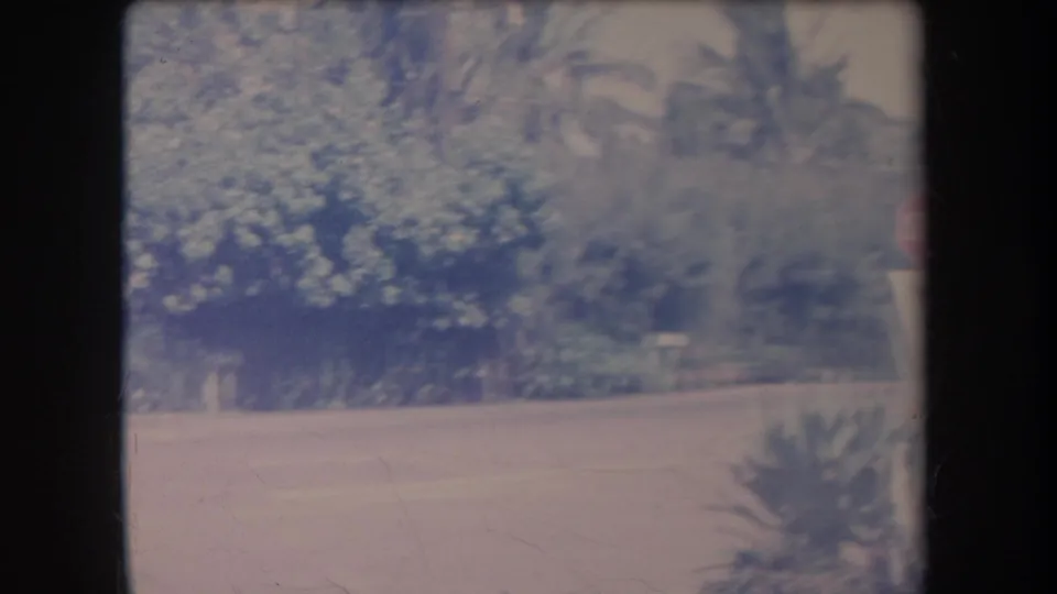 1969 Hawaii 8mm frame showing an open roadside area with dense shrubs, palm foliage, and soft home-movie exposure.