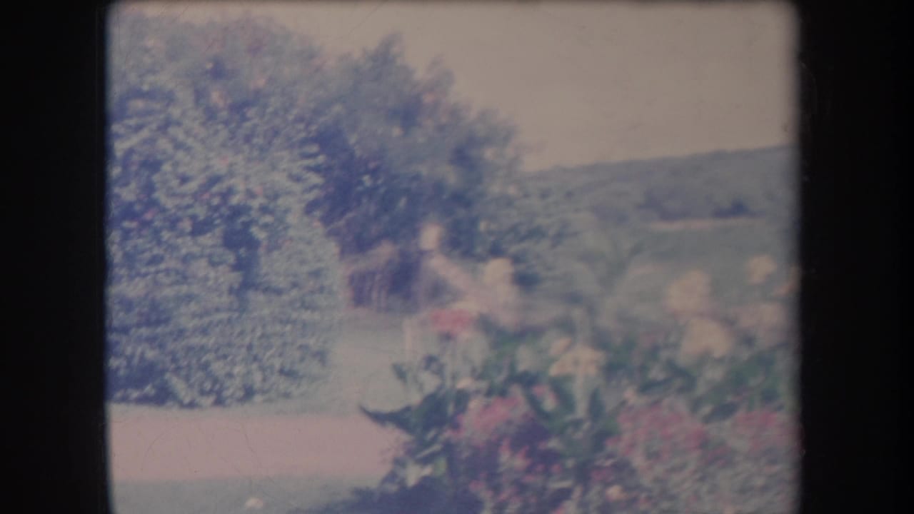 Flowering garden with shrubs, distant hillside, and a blurred figure-like shape.