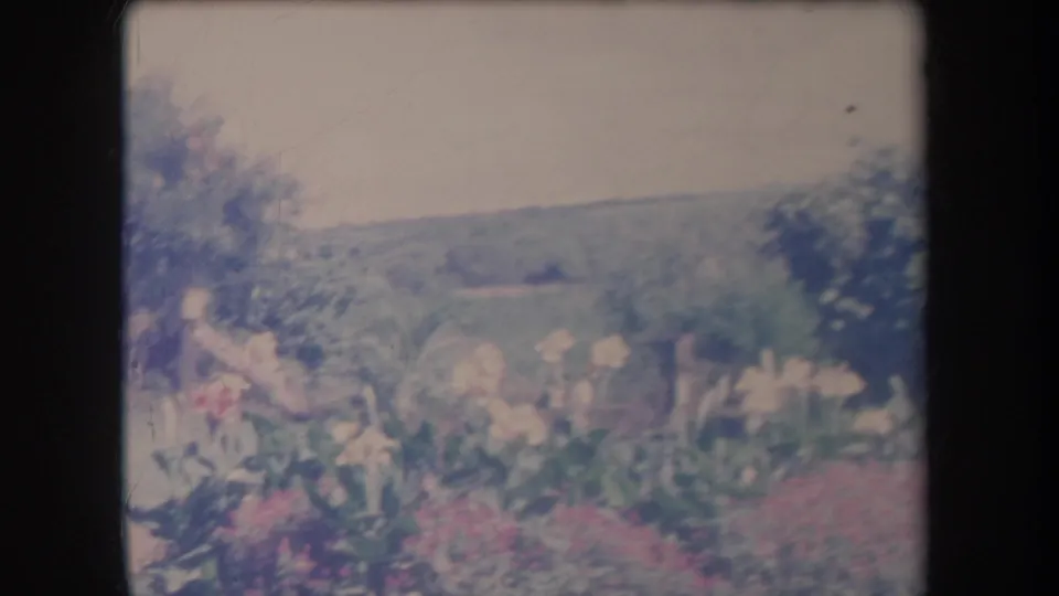 1969 Hawaii 8mm frame showing flower beds, shrubs, hillside, and an indistinct human figure in soft focus.