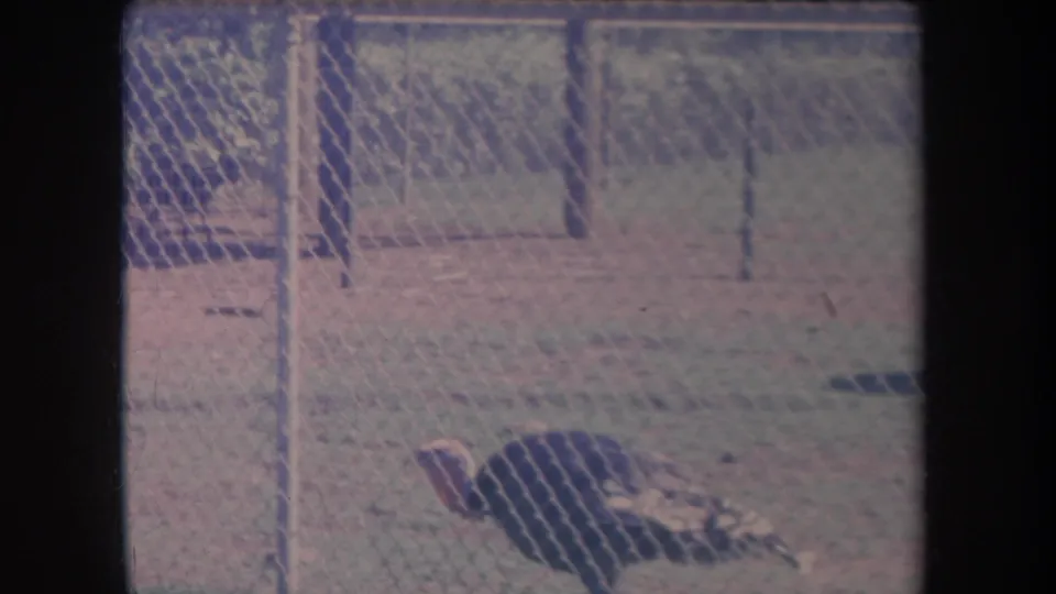 1969 Hawaii home-movie frame showing a turkey partly cut off at the bottom of a fenced grassy enclosure.