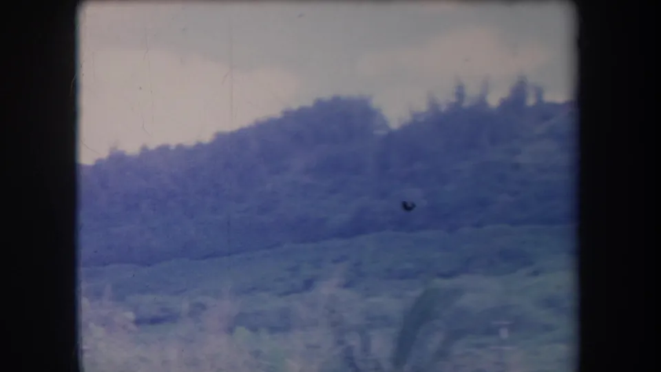 1969 Hawaii landscape frame showing open green hillside and dense ridge trees in faded 8mm color.