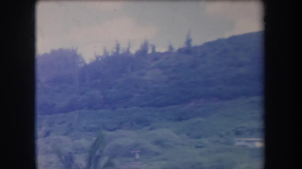 1969 Hawaii 8mm frame showing a distant tree-covered hillside under pale sky, with soft focus and visible film gate edges.