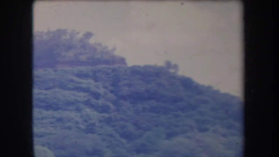 1969 Hawaii home-movie still of a sloping, densely vegetated hillside with soft focus and visible 8mm film texture.