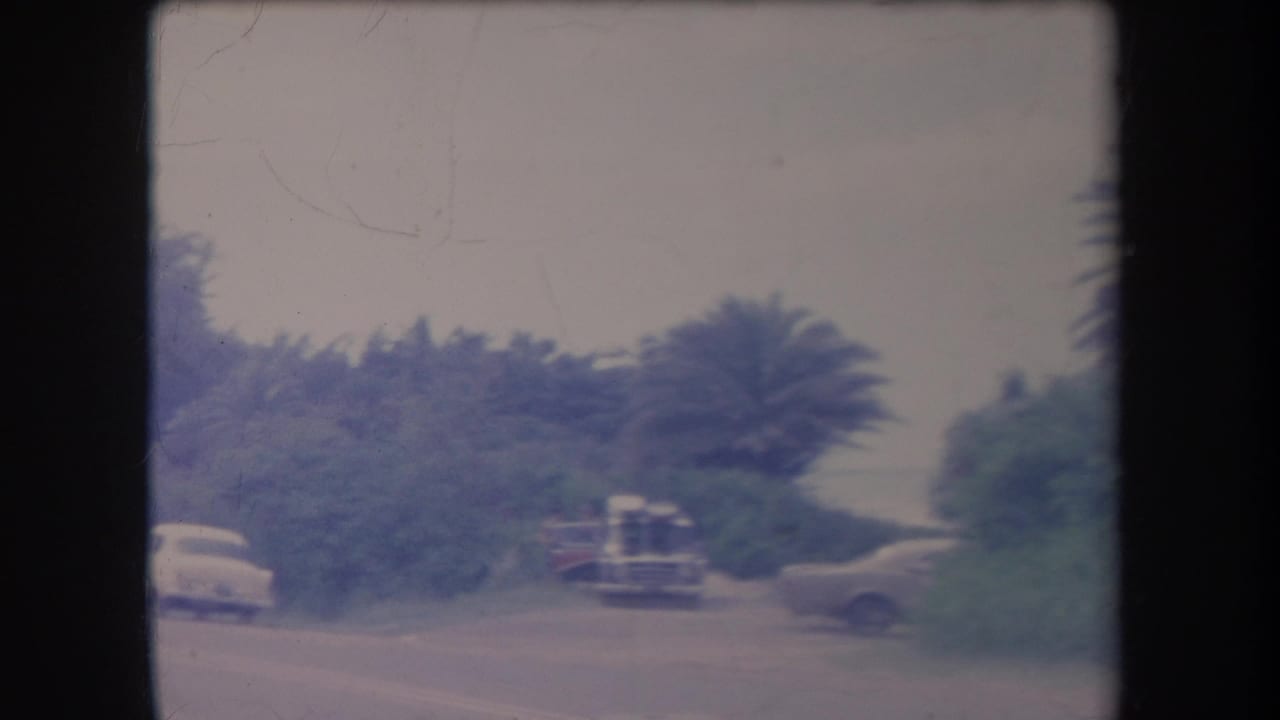 Roadside scene with a white car, a bus-like vehicle, and dense greenery.