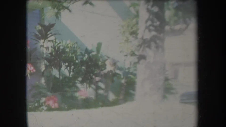 1969 Hawaii 8mm frame showing pink garden flowers, broad foliage, a pale exterior wall, and a partial parked car at the edge of view.