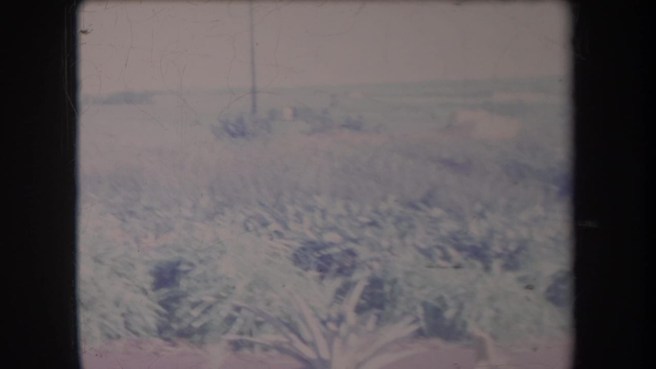 1969 Hawaii home-movie frame with tropical plants, a hazy horizon, and heavy motion blur from a vehicle viewpoint.
