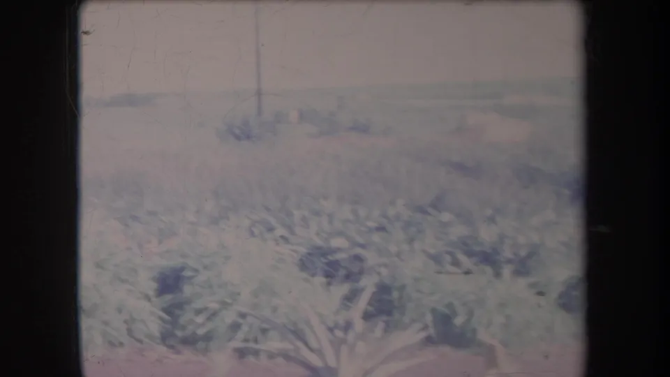 1969 Hawaii home-movie frame with tropical plants, a hazy horizon, and heavy motion blur from a vehicle viewpoint.