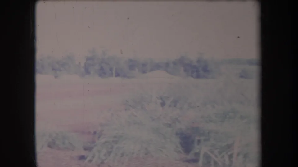 1969 Hawaii home-movie frame showing low roadside vegetation and indistinct distant structures in a shaky vehicle-view shot.
