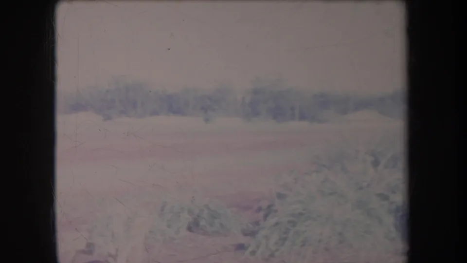 1969 Hawaii 8mm home-movie frame showing a soft, faded wooded roadside or driveway area before the red car enters view.