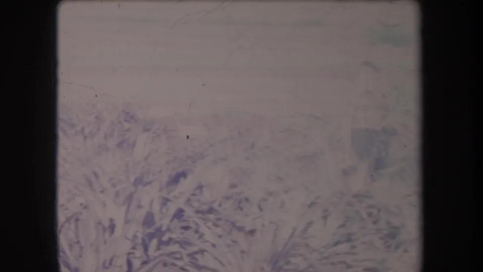 1969 Hawaii 8mm frame showing low overgrown grass or weeds beneath a pale sky, with washed exposure and visible film-frame boundaries.