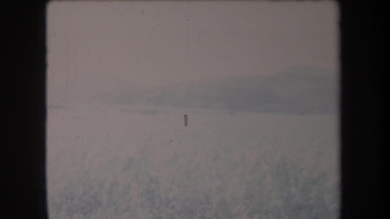 Soft-focus field and distant hill line beneath a pale overcast sky.