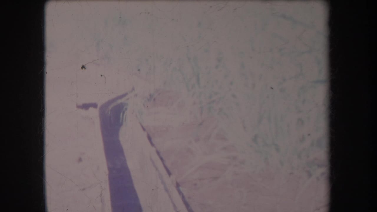 Overexposed vegetation with a dark diagonal foreground shape and visible film wear.