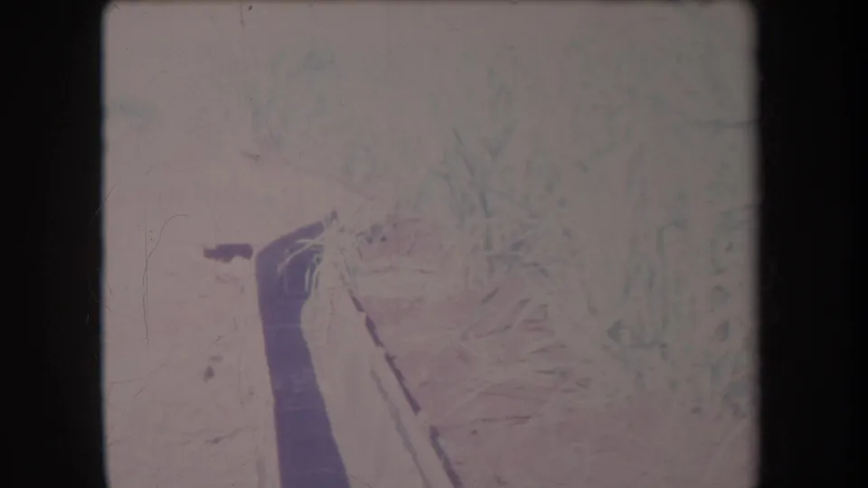 1969 Hawaii home-movie frame showing pale field growth, a dark diagonal foreground form, frame-edge shadow, and visible film scratches.