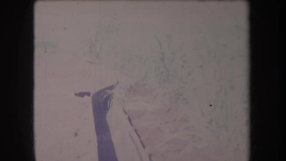 Faded 1969 Hawaii 8mm frame with pale crop or grass texture, dark diagonal foreground form, dust, scratches, and soft exposure.