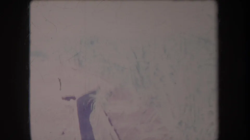 1969 Hawaii 8mm frame showing a pale crop-field close-up with a dark pipe or post and faint tall vegetation.