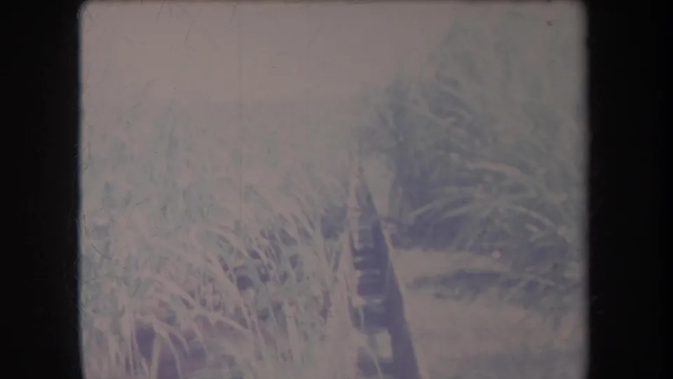 1969 Hawaii 8mm frame showing dense crop leaves and a partly visible dark pipe or post in a grainy field view.