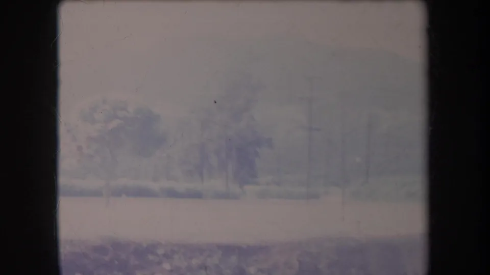 Late-1960s Hawaii home-movie frame with trees, utility poles, pale roadside ground, and hazy hills under faded 8mm color.